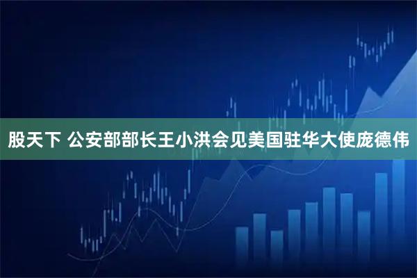 股天下 公安部部长王小洪会见美国驻华大使庞德伟