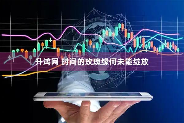 升鸿网 时间的玫瑰缘何未能绽放