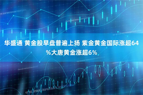 华盛通 黄金股早盘普遍上扬 紫金黄金国际涨超64%大唐黄金涨超6%