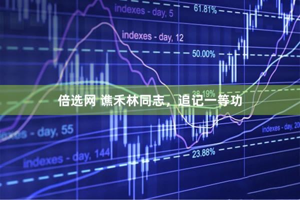 倍选网 谯禾林同志，追记一等功