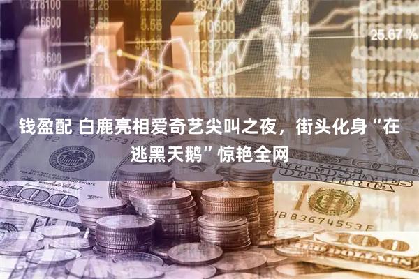 钱盈配 白鹿亮相爱奇艺尖叫之夜，街头化身“在逃黑天鹅”惊艳全网