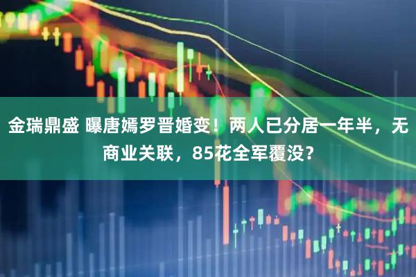 金瑞鼎盛 曝唐嫣罗晋婚变！两人已分居一年半，无商业关联，85花全军覆没？