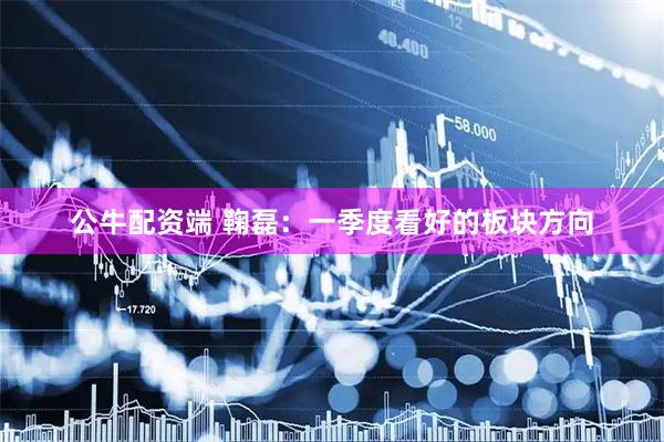 公牛配资端 鞠磊：一季度看好的板块方向