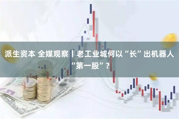 派生资本 全媒观察丨老工业城何以“长”出机器人“第一股”？